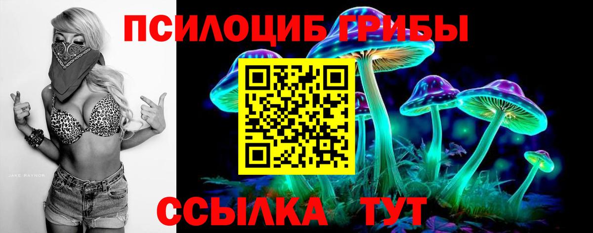 Новомосковск  Галлюциногенные грибы Psilocybe  Вход с VPN  Галлюциногенные грибы мицелий 