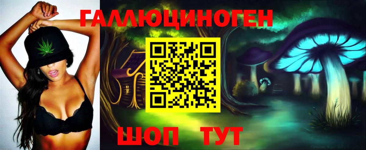 Галлюциногенные грибы Psilocybe Новомосковск